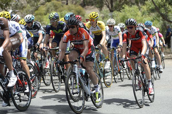 Cadel Evans and Michael Schar